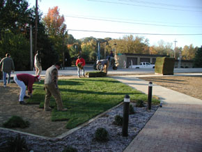Laying sod along the walkway by Main Street 2