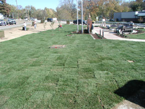 Site shot from Main Street showing sod